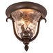 Santa Barbara Outdoor 2 Light 11.5 inch Burnished Bronze Flush Mount Ceiling Light