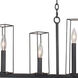 Allston Island Light Ceiling Light in Black Iron
