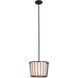 Pacifica 1 Light 13 inch Bronze Mini Pendant Ceiling Light