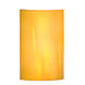 Meteor Wall Sconce Wall Light in Clear