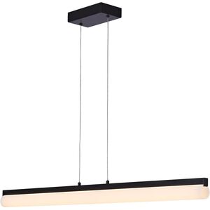 Chico Island Light Ceiling Light in Matte Black
