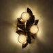 Blush Wall Sconce Wall Light in Winter Brass