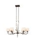Denali 6 Light 21 inch Bronze Jewel Tone Chandelier Ceiling Light