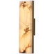Vertical Wall Sconce Wall Light in Winter Brass