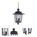 Saddlebrook 3 Light 14 inch Aged Iron Outdoor Hanging Lantern