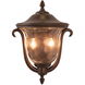 Santa Barbara Outdoor Wall Sconce Wall Light in Burnished Bronze