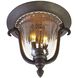 Santa Barbara Outdoor 2 Light 11.5 inch Textured Matte Black Flush Mount Ceiling Light