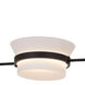 Anel Island Light Ceiling Light in Matte Black