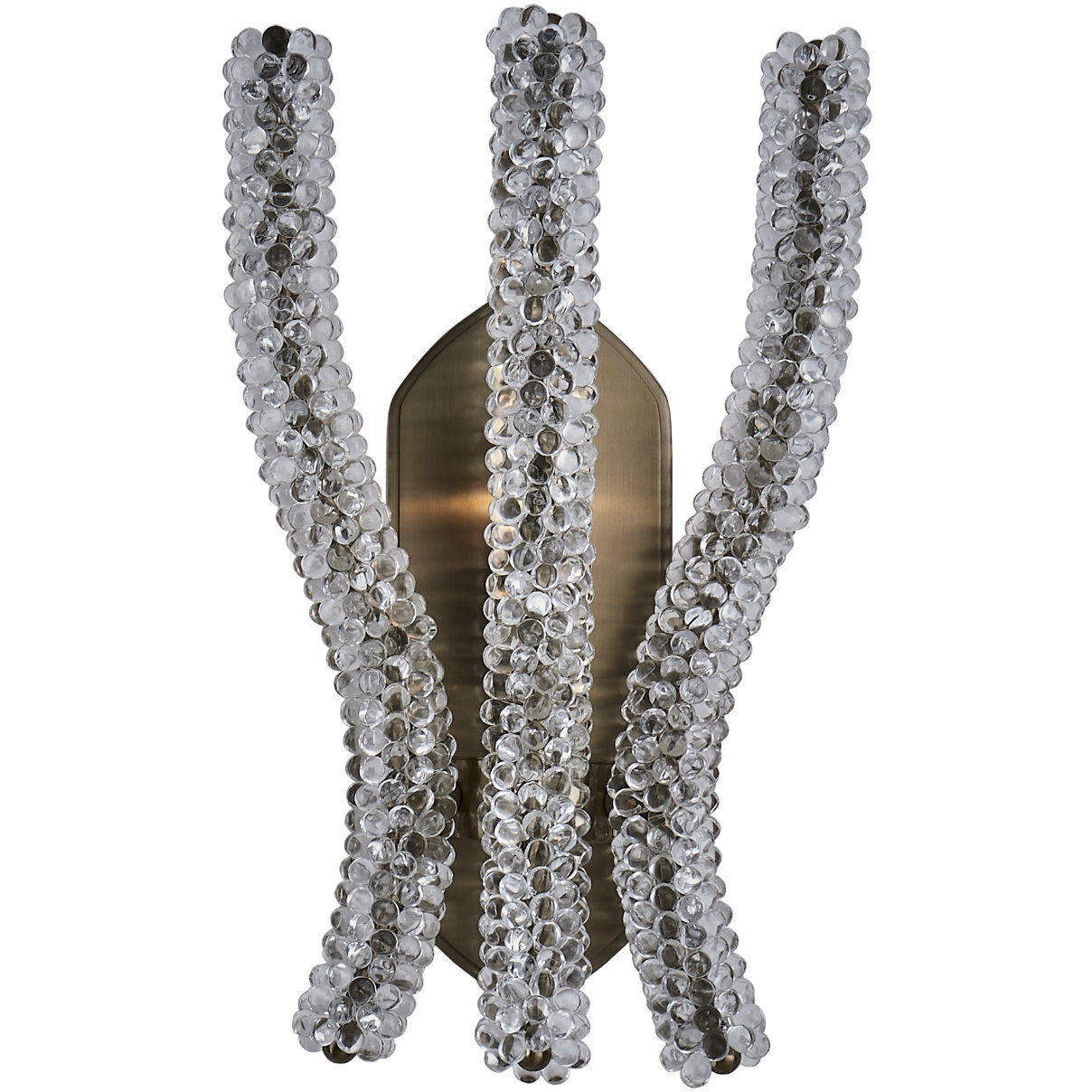 Coral Wall Sconce Wall Light in Clear
