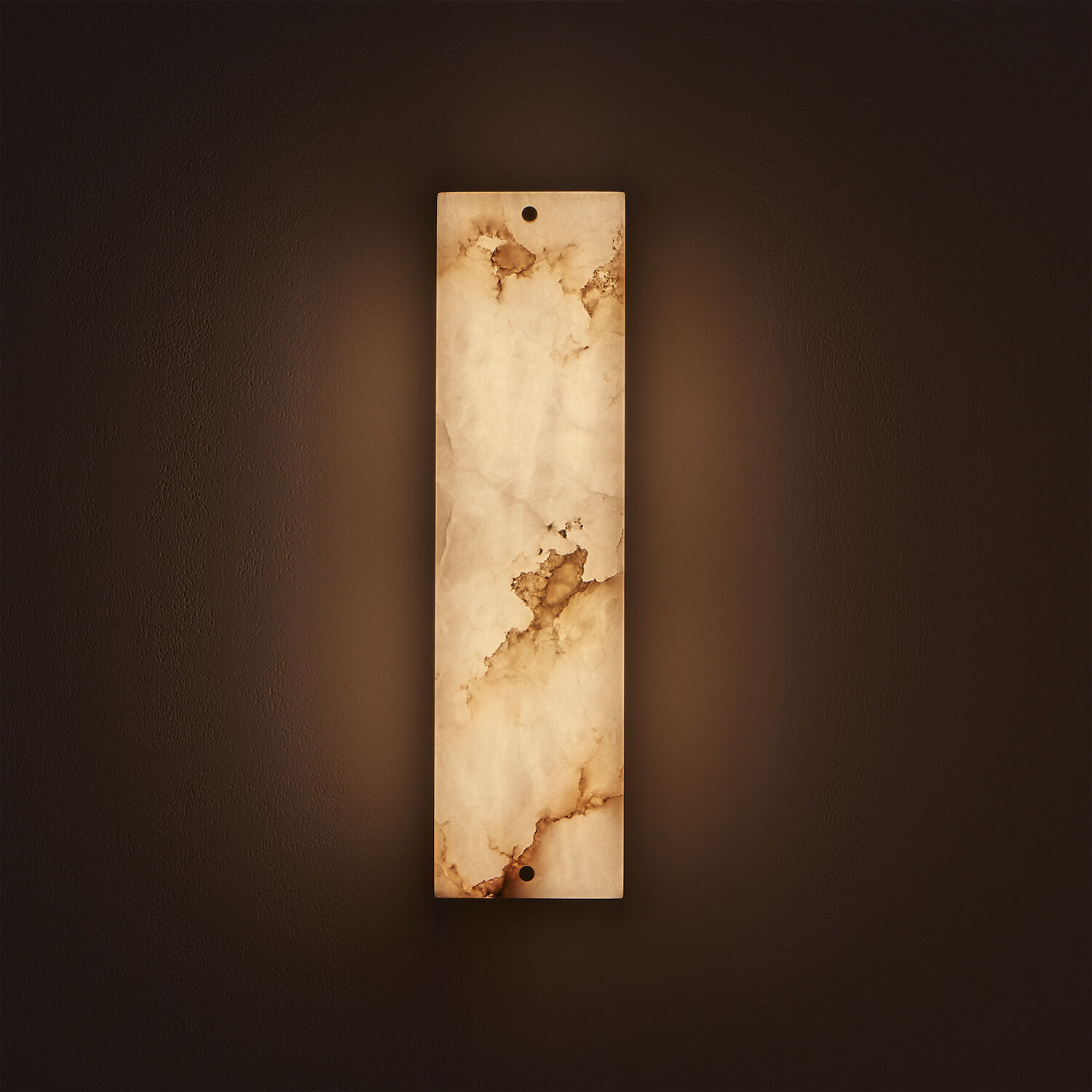 Vertical Wall Sconce Wall Light in Winter Brass