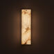 Vertical Wall Sconce Wall Light in Winter Brass