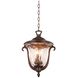 Santa Barbara Outdoor 3 Light 13 inch Burnished Bronze Hanging Lantern Ceiling Light