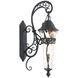 Anastasia Outdoor 2 Light 12.5 inch Burnished Bronze Wall Sconce Wall Light