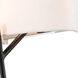 Tahoe Wall Sconce Wall Light in Matte Black With Polished Nickel