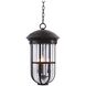 Emerson 3 Light 11 inch Burnished Bronze Outdoor Hanging Lantern