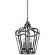 Livingston 4 Light 14 inch Charcoal Hanging Lantern Ceiling Light