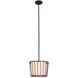 Pacifica 1 Light 13 inch Bronze Mini Pendant Ceiling Light