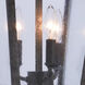 Saddlebrook 3 Light 14 inch Aged Iron Outdoor Hanging Lantern