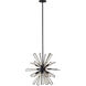 Radiance 18 Light 26 inch Matte Black Pendant Ceiling Light